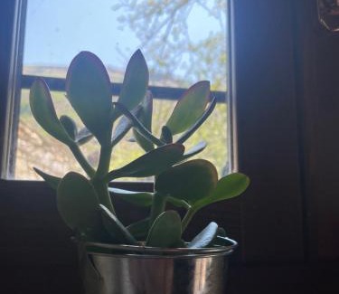 Kazaviti House | Villa LeVaNte