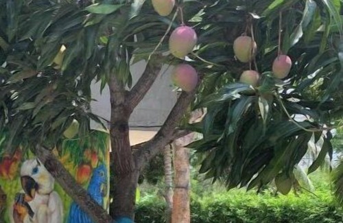 Mosquera Apartment | VILLA LILIA APARTMENTS 202