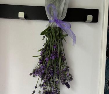 Kungsangen Bed & Breakfast | Villa lilla lavendel