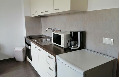 Cesarica Apartment | Villa Luce. New Spacious apartment 70 m from the sea, with sea view at Karlobag.