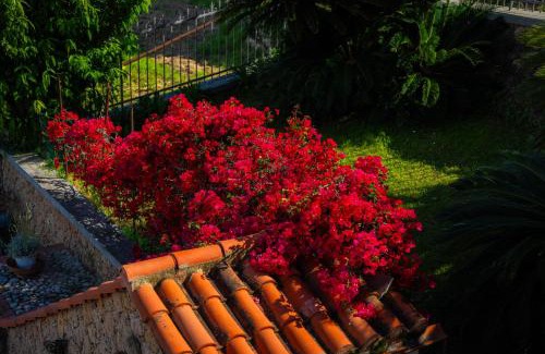 Pietra Ligure Bed & Breakfast | Villa Mafalda