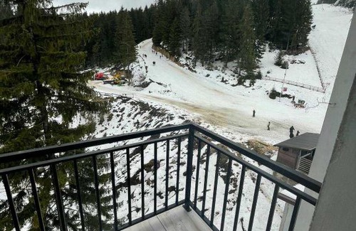 Babanovac Apartment | Villa Maja Vlasic