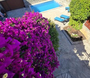 Radovici Villa | Villa Mara Lustica Bay Retreat near Kotor, Tivat