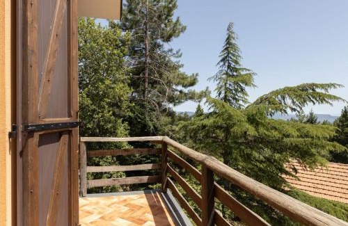 Linguaglossa Villa | Villa Mareneve by Interhome