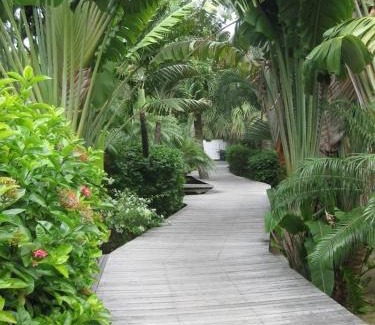 Flamands Villa | Villa Mas Garden Path to Beach