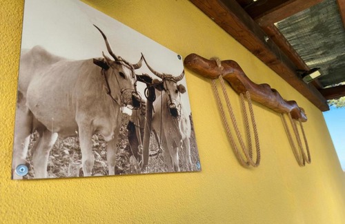 Semproniano House | Villa Matilde