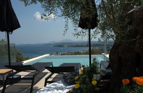Ipsos Villa | Villa Mimosa with private swimming pool