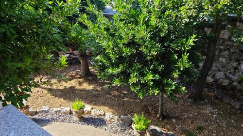 Novi Vinodolski Apartment | Villa Nina