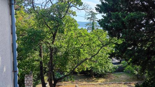 Novi Vinodolski Apartment | Villa Nina