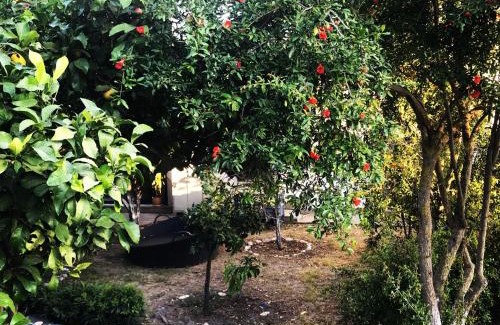 Yalikavak Bed & Breakfast | Villa No 5