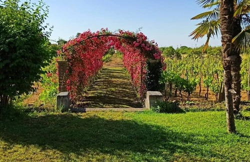 Gravina di Catania Villa | Villa Nobiliare Parco e Vigneto, a 15 Min. Catania, 20 Min. Etna,30 Min.taormina