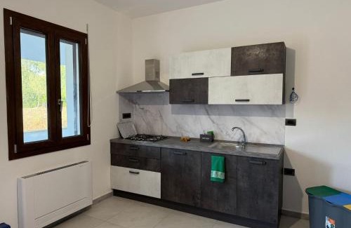 Boroneddu House | Villa Omodeo