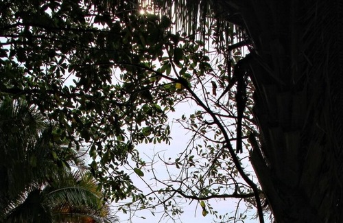 Platanitos Villa | Villa Pacifica - an Awesome Villa With The Sea At Your Feet