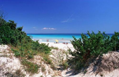 Punta Prosciutto Villa | Villa Palma a 80m dal mare