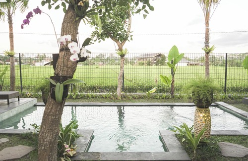 Lodtunduh Villa | Villa Puri Kembar – A Serene Escape with a Private Pool & Stunning Views