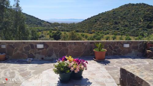 Torre delle Stelle Villa | Villa Quattro Archi