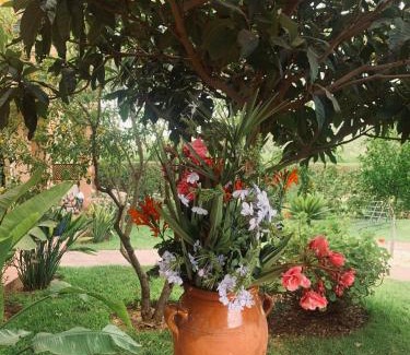 Oumnass Villa | Villa Résidence Oumnas