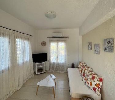 Kalo Chorio Apartment | Villa Rena