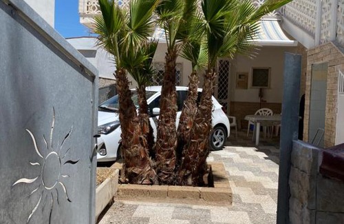 Primitivo di Manduria Wine Area Apartment | Villa Rosy direttamente sul mare