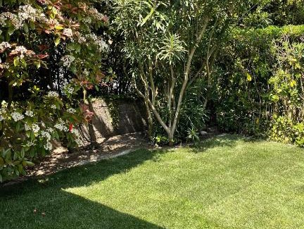 Isola Albarella Villa | VILLA SALICE 9.2