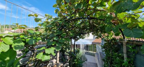 Veli Brgud House | VILLA SALVIA - Holiday house with pool -