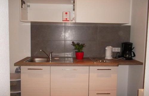 Orangerie Apartment | Villa Schiller, 2 studios côté jardin - quartier Orangerie
