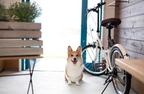 Kujukuri Villa | VILLA Seamu 九十九里 家族と愛犬で楽しむプール屋内BBQ付き高級ガーデンヴィラ サウナ設置予定