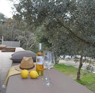 Ikaria House | Villa Sophia