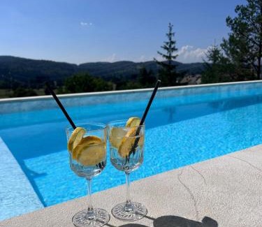 Ravna Gora Villa | Villa Stella Verde - Wellness Villa with a swimming pool, hot tub and sauna