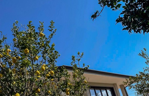 Eboli Villa | Villa the Scent of Oranges