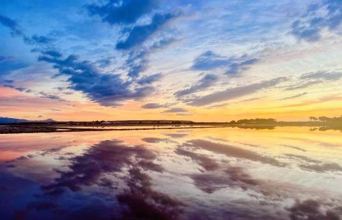 La Marina Villa | Villa Vista Mar La Marina Piscine privée