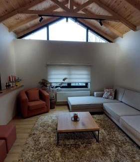 Moscopole Villa | Villa Voskopoja Stone House