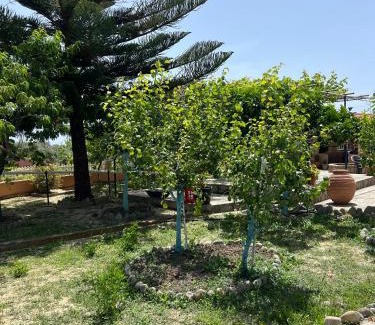 Mathraki Island Apartment | Village Guest House