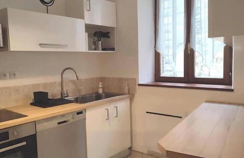 La Cote-Saint-Andre House | Village house facing the castle Pets welcome