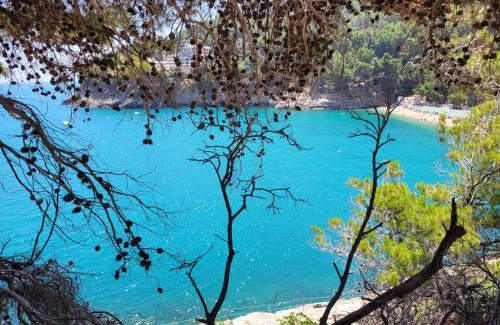Pugnochiuso Villa | Villetta Roberto Le Macine di Charme - Pugnochiuso Resort