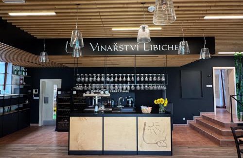 Pasohlavky House | Vinařský dům V Zahradě