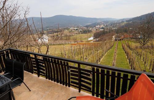 Marindol House | Vineyard cottage Cvitkovič