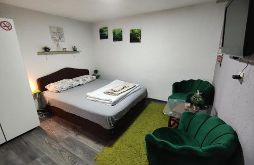 Skopje Region Apartment | VINI studio with private parking