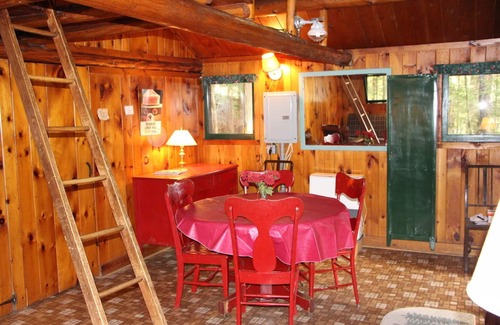 Saranac Lake Cabin | Vintage, Retro Adirondack Cabin - waterfront, peaceful - open spring/summer/fall