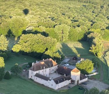Asquins House | Viola