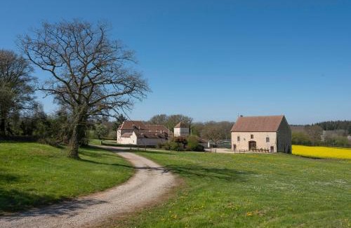 Asquins House | Viola