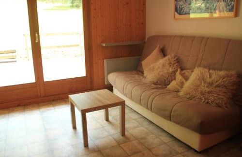 Chatel Apartment | VIOLETTES VL2 TELECABINE & NATURE 4 Pers
