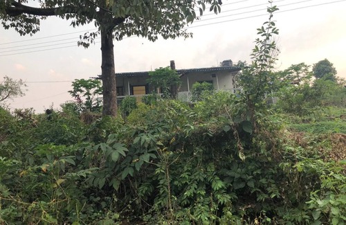 Pali House | Vish Farms - A Seven acre paradise