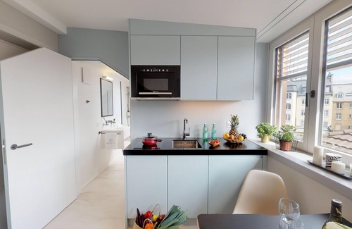 Werd Apartment | VISIONAPARTMENTS Zurich Zweierstrasse