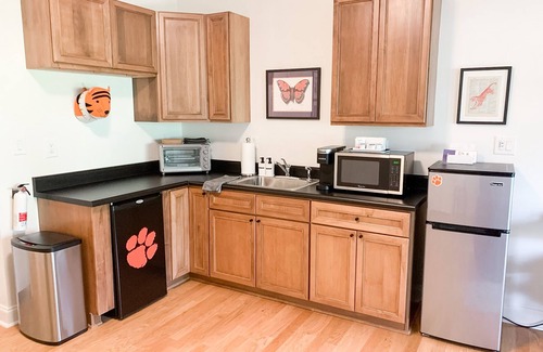 Clemson Apartment | Visit your Kids! Walk to campus/downtown! Free Parking Spot! Next to ESSO!