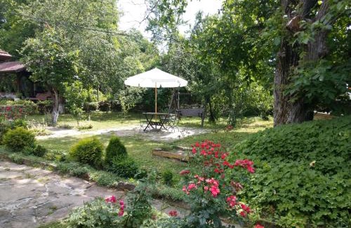 Gabrovo House | Vitanova Guest House