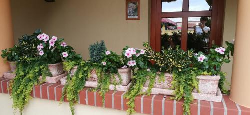 Becsehely House | Vitis Vendégház