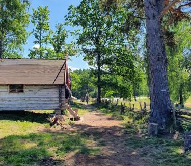 Sosdala Cabin | Vittfarnas vikingaby