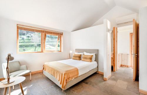 Cinfaes House | VIVA Douro Countryside Lodge