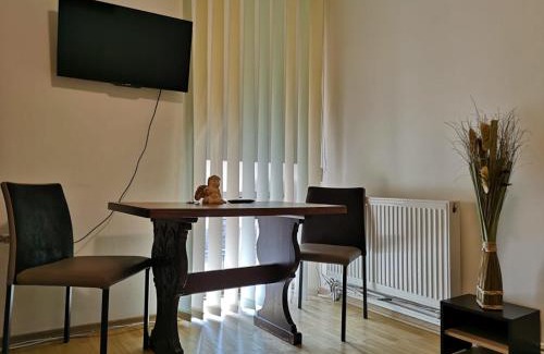 Cluj-Napoca City Centre Apartment | Vivaldi Studios